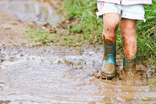 Got Poor Yard Drainage? 4 Reasons to Take Action Immediately
