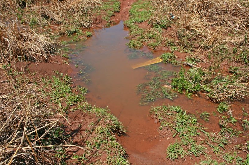 Five Reasons Standing water is a Yard Drainage Problem