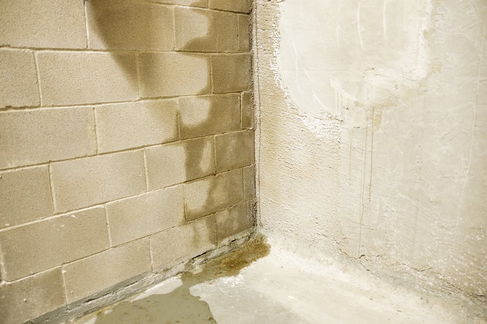 Raleigh’s Water Intrusion Specialists